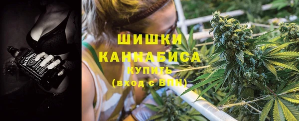 дживик Арсеньев