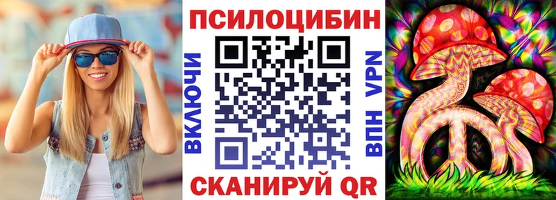 Псилоцибиновые грибы Psilocybine cubensis  Покровск 
